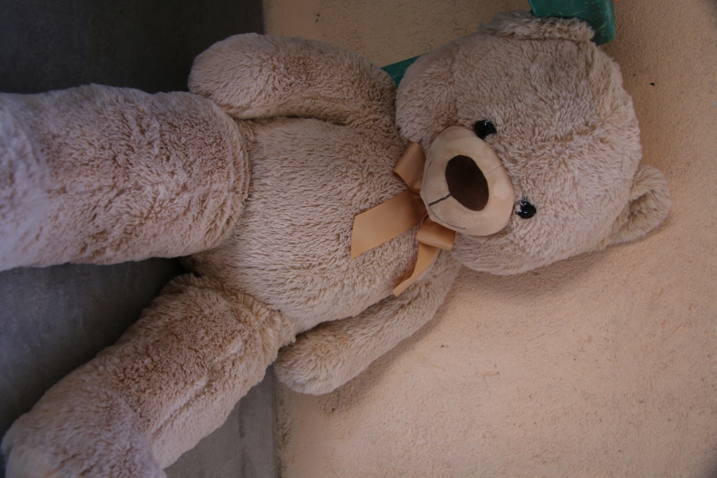 project-motlopi-foto-15